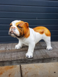 Beautifully detailed Italian porcelain English Bulldog